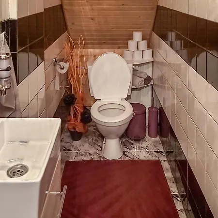 Stunning In W Outdoor Swimming Pool Sauna And 4 Bedrooms Vyšné Ružbachy